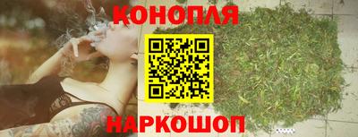 дмт Тара