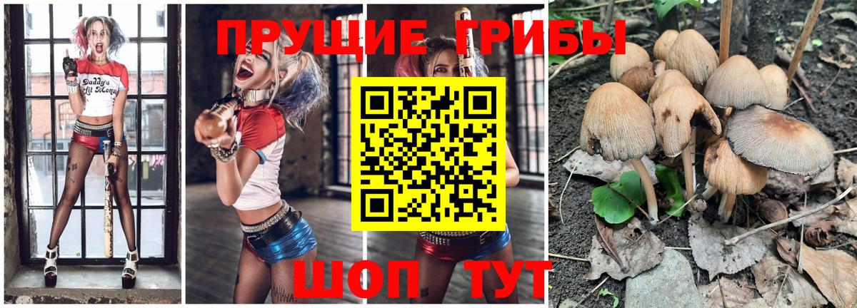 Нижний Тагил  Псилоцибиновые грибы Psilocybe  Вход с VPN 