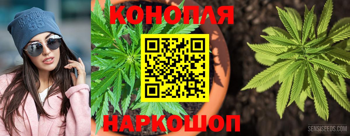 Канабис тримм  Конопля план  Вход с VPN  Нижний Тагил 